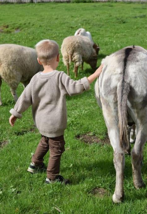Heerlijk Huys, Vakantievilla Met Prive Tuin Ewijk Buitenkant foto